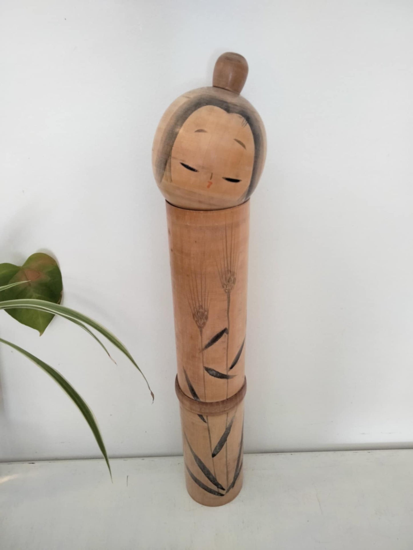TANI