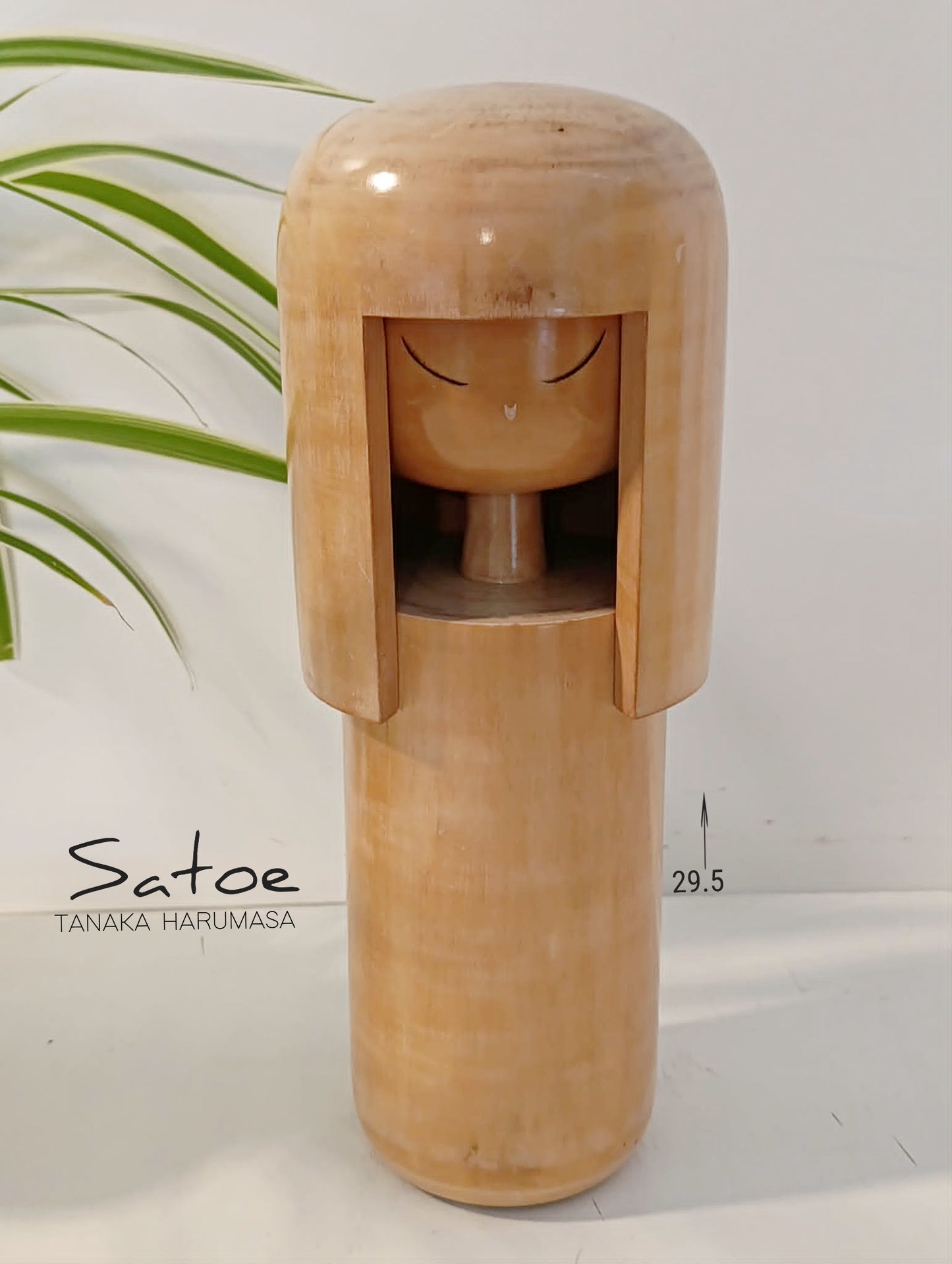 SATOE