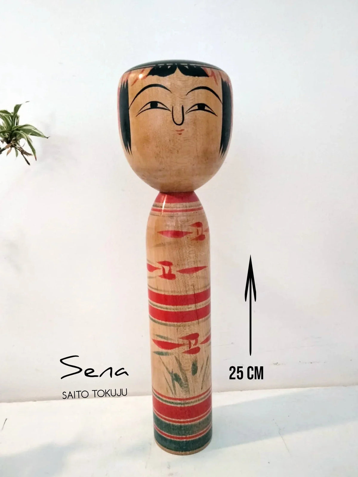 SENA   40.00