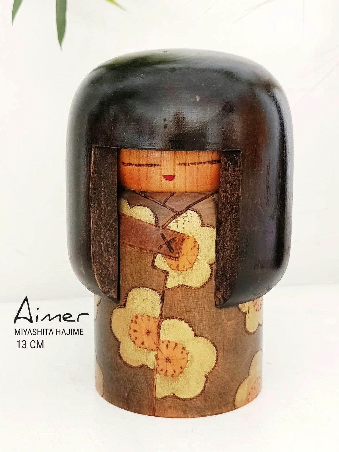 AIMER   55.00