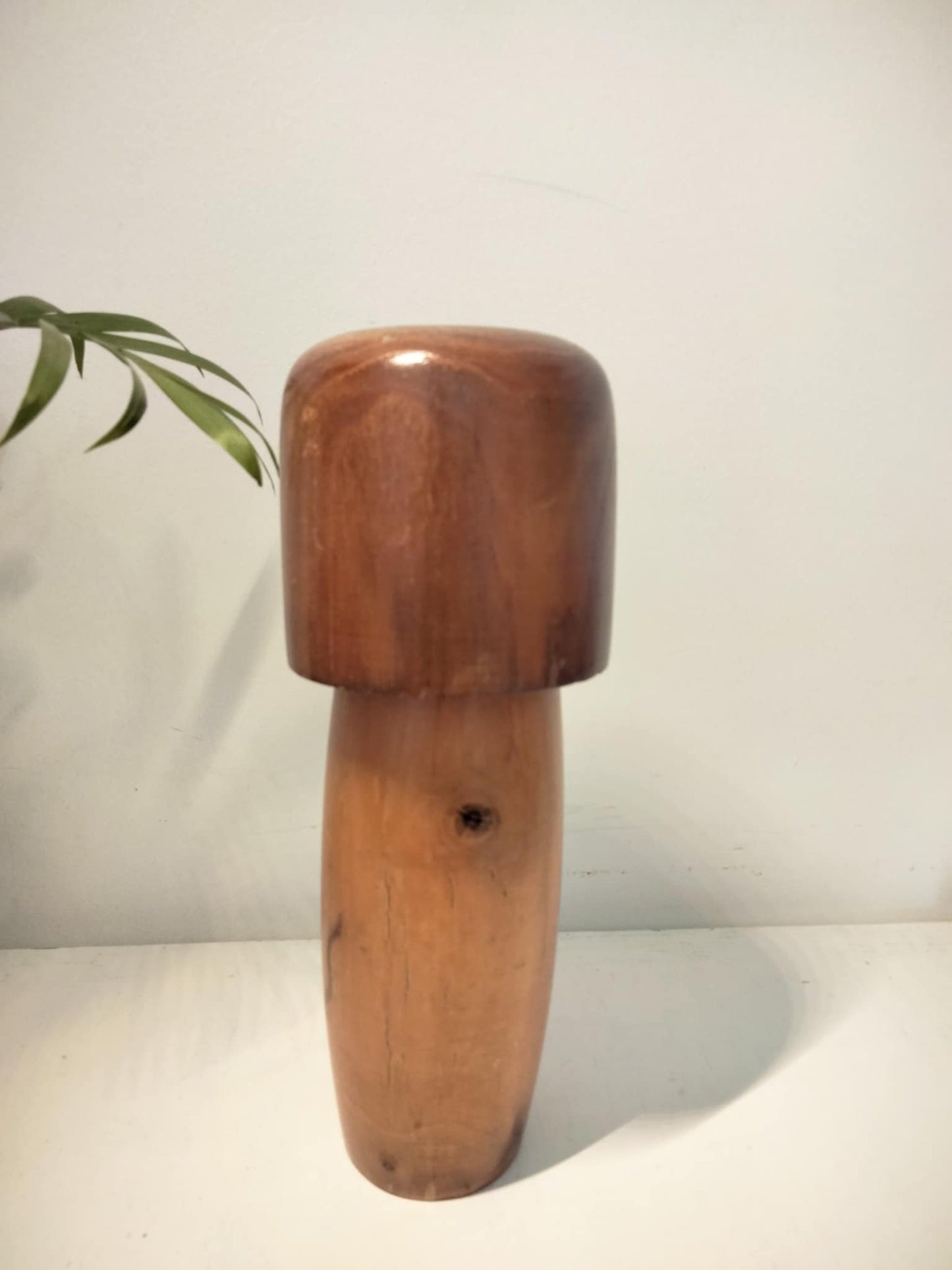 DANSU