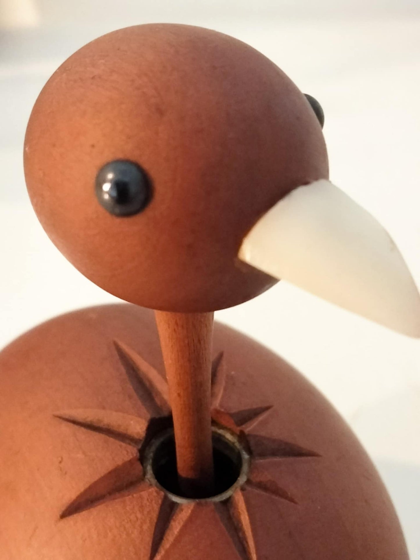 OSTRICH
